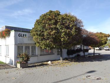Baum vorm Firmengebäude