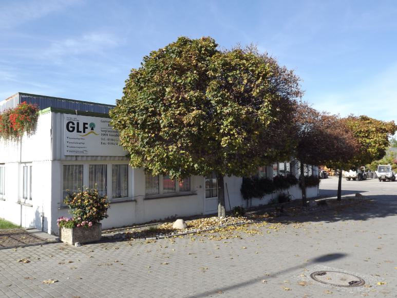 Baum vorm Firmengebäude