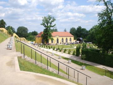 Bäume in Töpfen