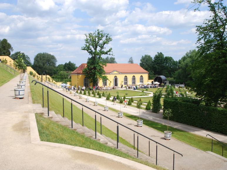 Bäume in Töpfen