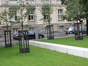 Baumschutz Baumschutz