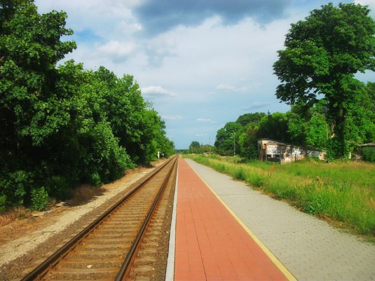 Grünfläche am Bahnsteig