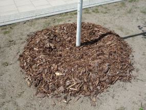 Abdeckung mit Rindenmulch