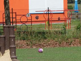 Ball auf der Wiese Ball auf der Wiese