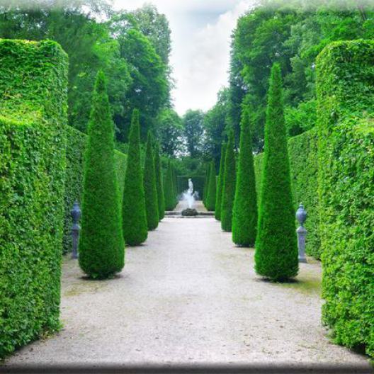 Durchgang durch Hecke