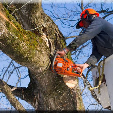 Mann mit Kettensäge